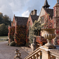 Buy canvas prints of The Manor House astle Combe by Duncan Savidge