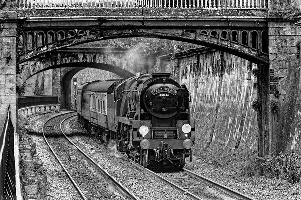 Black and white steam train in Sydney Gardens Bath Picture Board by Duncan Savidge