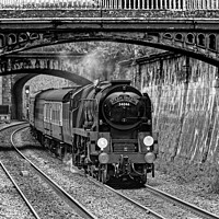 Buy canvas prints of Black and white steam train in Sydney Gardens Bath by Duncan Savidge