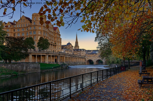 Autumn in Bath Picture Board by Duncan Savidge