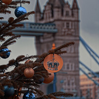 Buy canvas prints of Tower Bridge in London at Christmas by Duncan Savidge