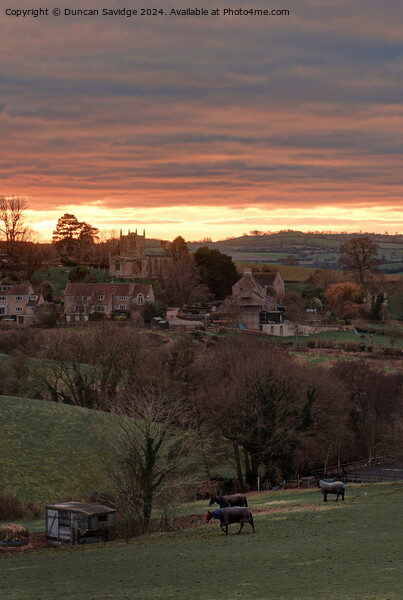 Inglescombe Farm at Sunset Picture Board by Duncan Savidge