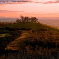 Buy canvas prints of Sunset over Kelson Roundhill by Duncan Savidge