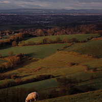 Buy canvas prints of Bristol view  by Duncan Savidge
