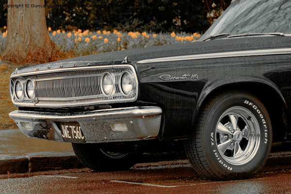 The Dodge Coronet 440 on Royal Avenue Bath Picture Board by Duncan Savidge