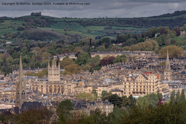 Spring cityscape of Bath Picture Board by Duncan Savidge