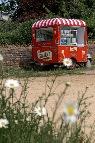 vibrant Ice Cream Van in Bradford on Avon Picture Board by Duncan Savidge