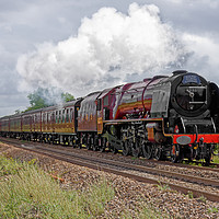 Buy canvas prints of Trackside with 6233 Duchess of Sutherland steaming by Duncan Savidge
