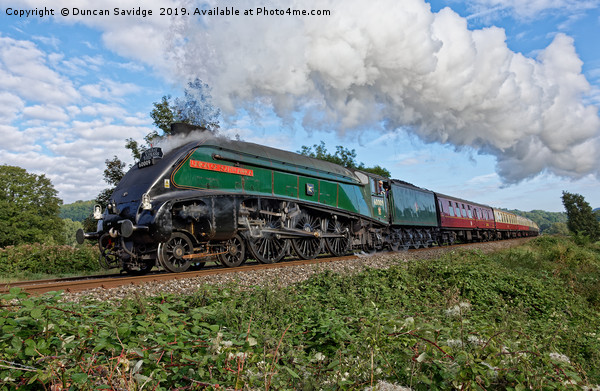 60009 union of south Africa steam train torbay exp Picture Board by Duncan Savidge