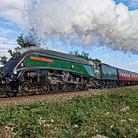 Buy canvas prints of 60009 union of south Africa steam train torbay exp by Duncan Savidge