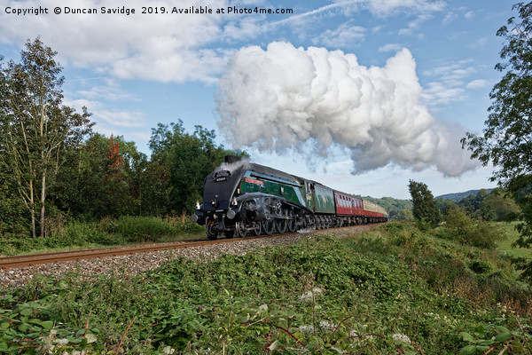 Steam train 60009 union of south africa Picture Board by Duncan Savidge