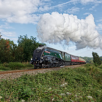 Buy canvas prints of Steam train 60009 union of south africa by Duncan Savidge