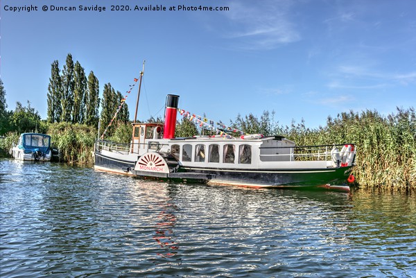 Monarch paddle steamer in Wareham Picture Board by Duncan Savidge