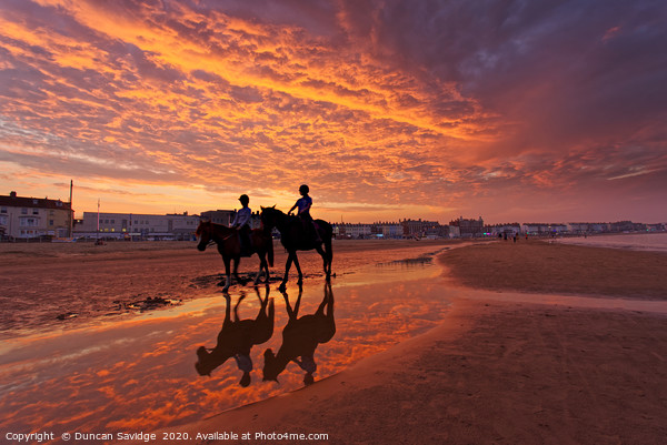 Fiery  sunset on weymouth beach horses Picture Board by Duncan Savidge