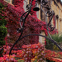 Buy canvas prints of Queens Square Bath in Autumn by Duncan Savidge