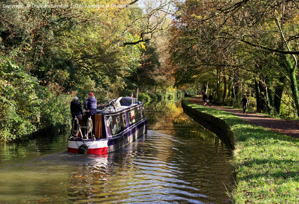 Autumn along the kennet and avon canal  Picture Board by Duncan Savidge