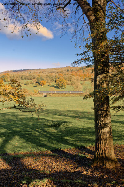Autumn sprinter train in the landscape Picture Board by Duncan Savidge