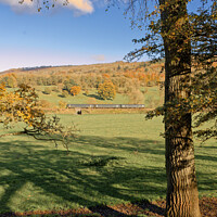Buy canvas prints of Autumn sprinter train in the landscape by Duncan Savidge