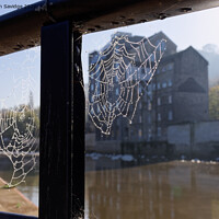 Buy canvas prints of Misty Autumn spider web along the River Avon Bath by Duncan Savidge