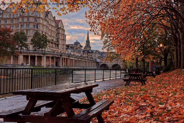Autumn fall at Pulteney Weir Bath at sunset Picture Board by Duncan Savidge