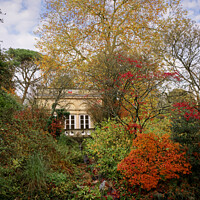Buy canvas prints of Autumn at Autumn at Botanical Gardens at Royal Victoria Park  at Royal Victoria Park  by Duncan Savidge