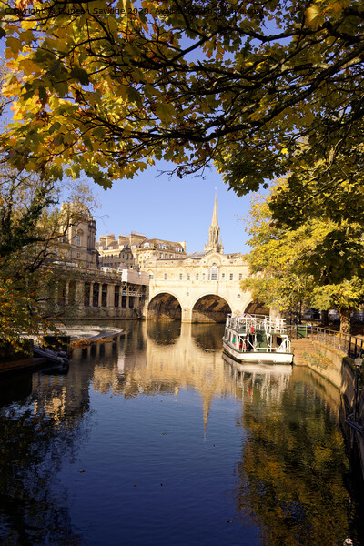 Sunny Autumn day at Pulteney Weir Bath Picture Board by Duncan Savidge