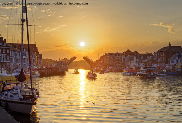 Weymouth town bridge sunset Picture Board by Duncan Savidge