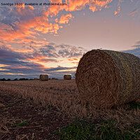 Buy canvas prints of Harvest / hay bale sunset by Duncan Savidge
