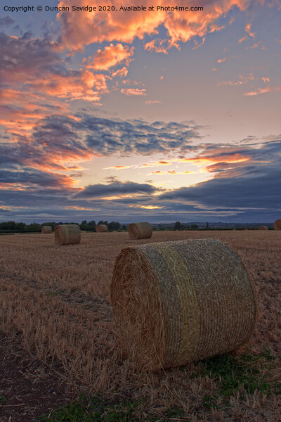 Harvest / hay bale sunset portrait  Picture Board by Duncan Savidge