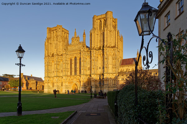 Wells Cathedral golden hour Picture Board by Duncan Savidge