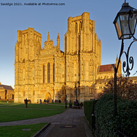 Buy canvas prints of Wells Cathedral golden hour by Duncan Savidge