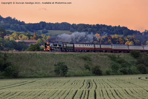 Steam train in the late evening sun Picture Board by Duncan Savidge