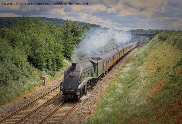 60009 Union of South Africa steam train Picture Board by Duncan Savidge