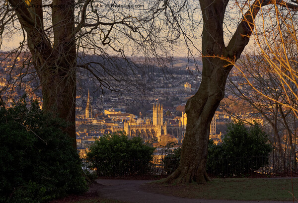 Bath Abbey winter sunshine Picture Board by Duncan Savidge
