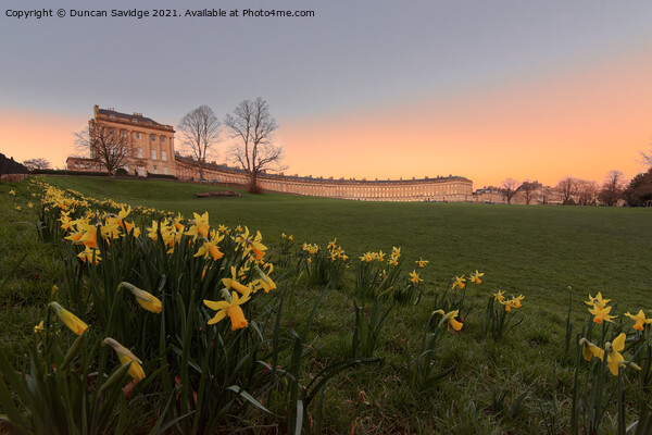 Spring sunset at the Royal Crescent Picture Board by Duncan Savidge