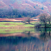 Buy canvas prints of Rydal Water, Grasmere, Lake District by John Robertson