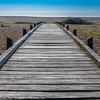 Buy canvas prints of Dungeness walkway by Adrian Rowley