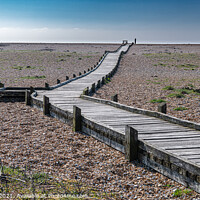 Buy canvas prints of Dungeness walkway by Adrian Rowley