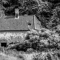 Buy canvas prints of Abandoned Forrest House by Paul Grove