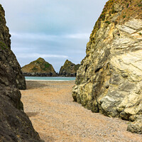 Buy canvas prints of Gull  or Carters Rocks Holywell bay Cornwall by Jim Peters