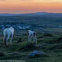 Buy canvas prints of Mother and foal on Bodmin more looking towards brown willy  by Jim Peters