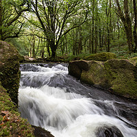 Buy canvas prints of Golitha Falls in Draynes wood Bodmin Moor by Jim Peters