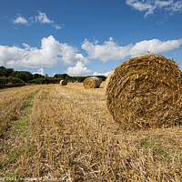 Buy canvas prints of Harvest time hay Bales by Jim Peters