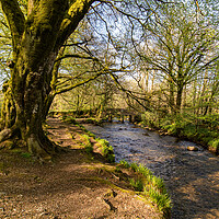 Buy canvas prints of River Fowey at Golitha Bodmin Moor Cornwall by Jim Peters