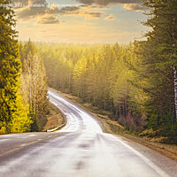 Buy canvas prints of Winter Sunlight on Highway 52 by Taina Sohlman
