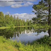 Buy canvas prints of Lake Sorvasto Summer Landscape by Taina Sohlman