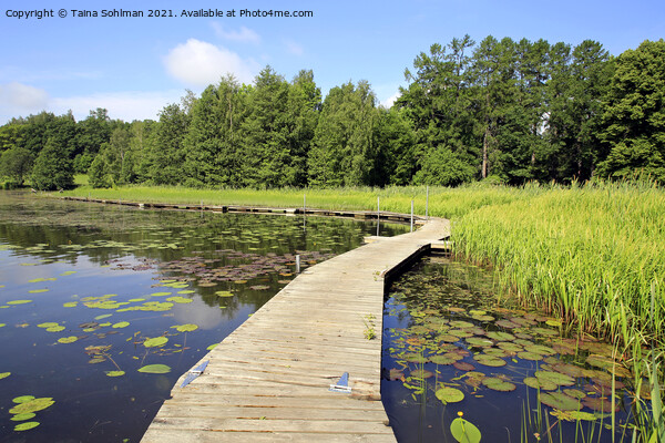 Floating Walkway on Small Lake Picture Board by Taina Sohlman
