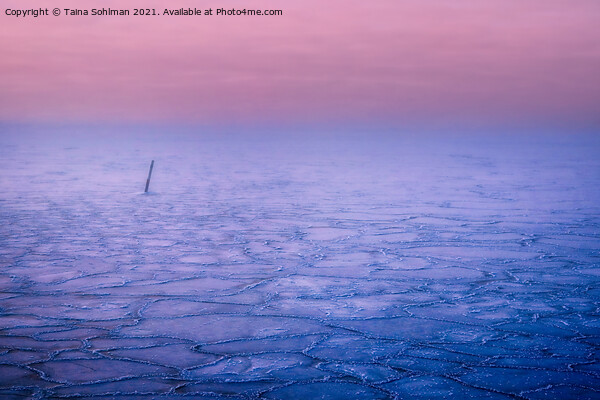 Pink Haze over Frozen Sea  Picture Board by Taina Sohlman