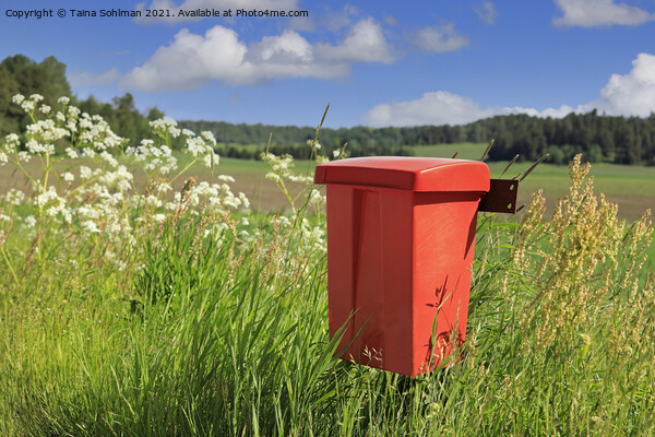 Red Mailbox in the Country Picture Board by Taina Sohlman