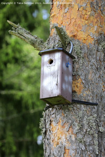 Birdhouse or Nesting Box Picture Board by Taina Sohlman